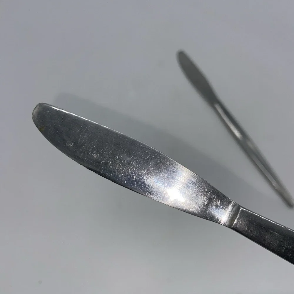 Astro Stainless Japan Set Of‎ 2 Butter Dinner Knives MCM Square Handles 8